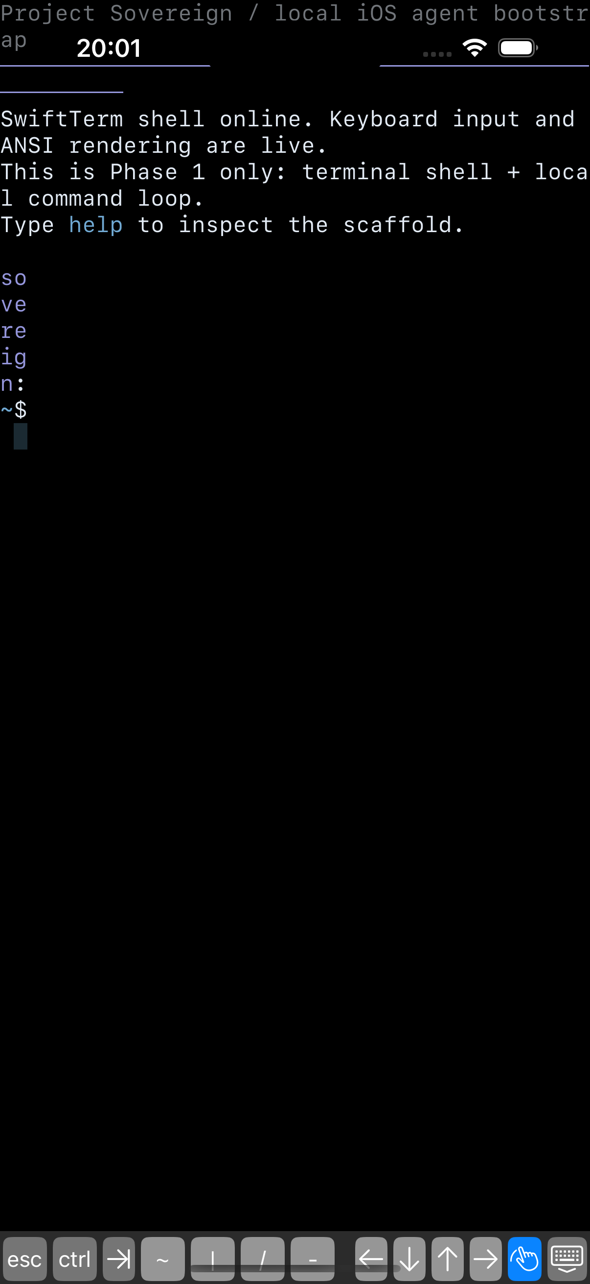 Sovereign — terminal boot